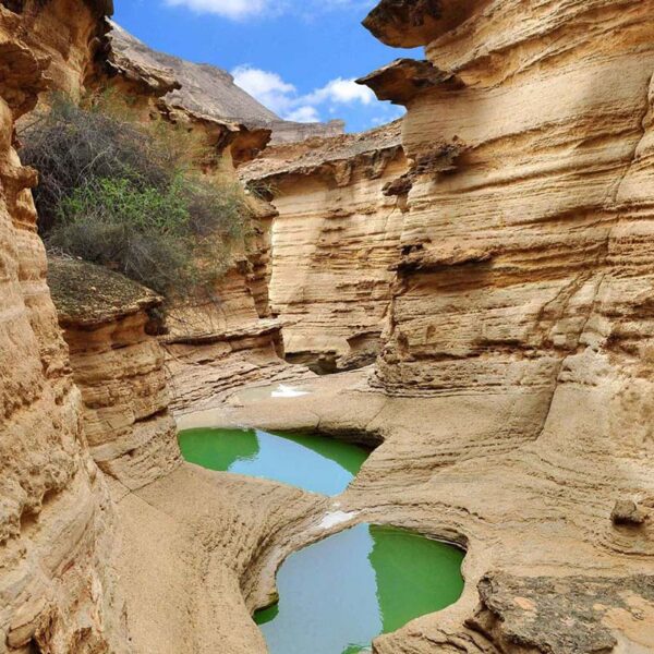 7 Days Iran South Tour